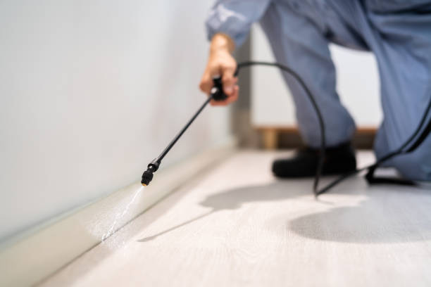 Licensed Pest Control service in Cleveland, TX - Show Me Pest Control